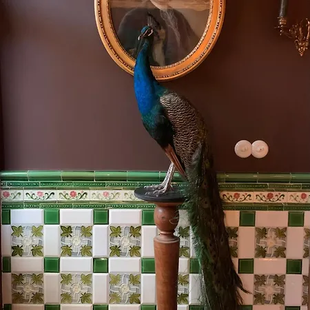 De Boerderij Toon En Jeroen * Herzele